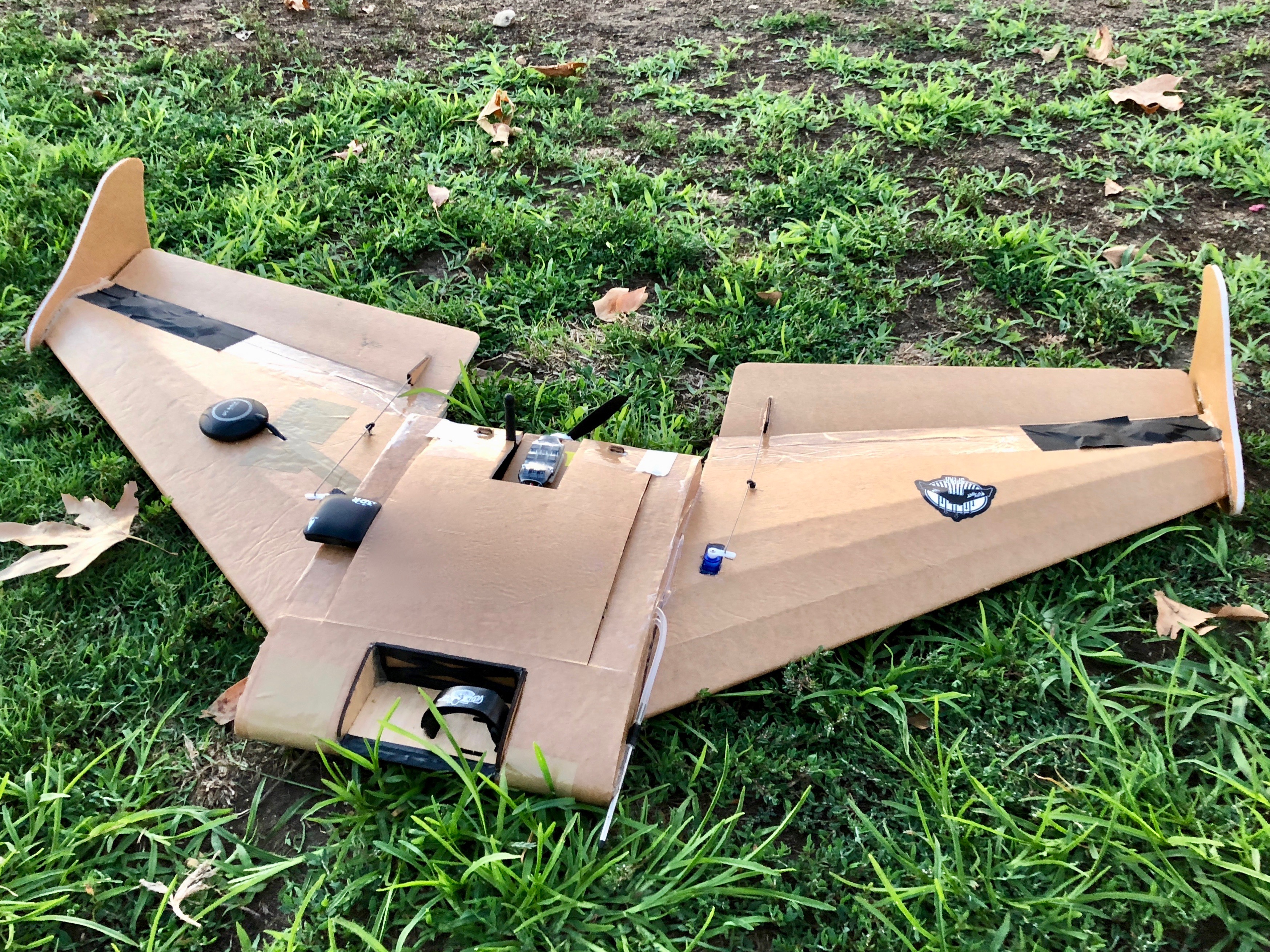 Delta wing deals drone